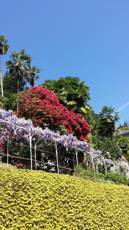 Appartamenti Orta Orta San Giulio Værelse billede