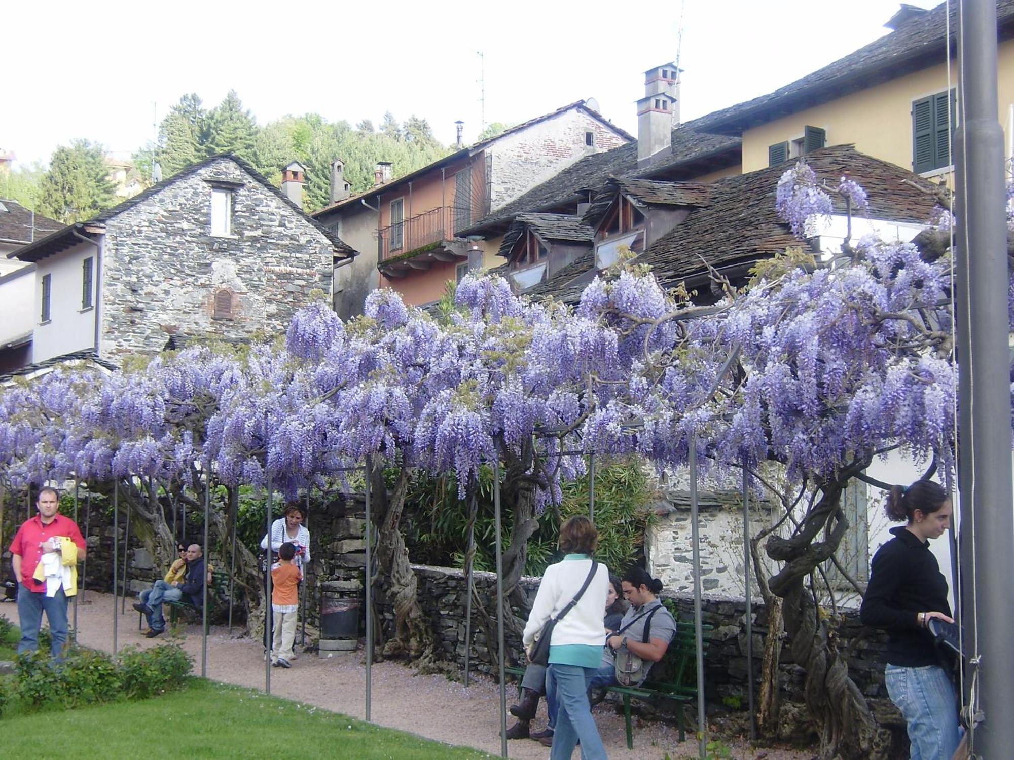 Appartamenti Orta Orta San Giulio Eksteriør billede